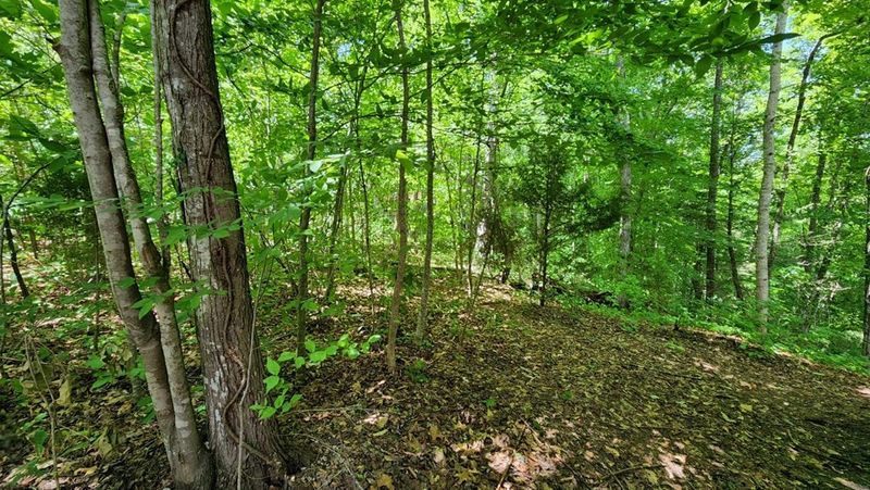 2818 Ridge Creek Lot 10, Sevierville, TN 37876