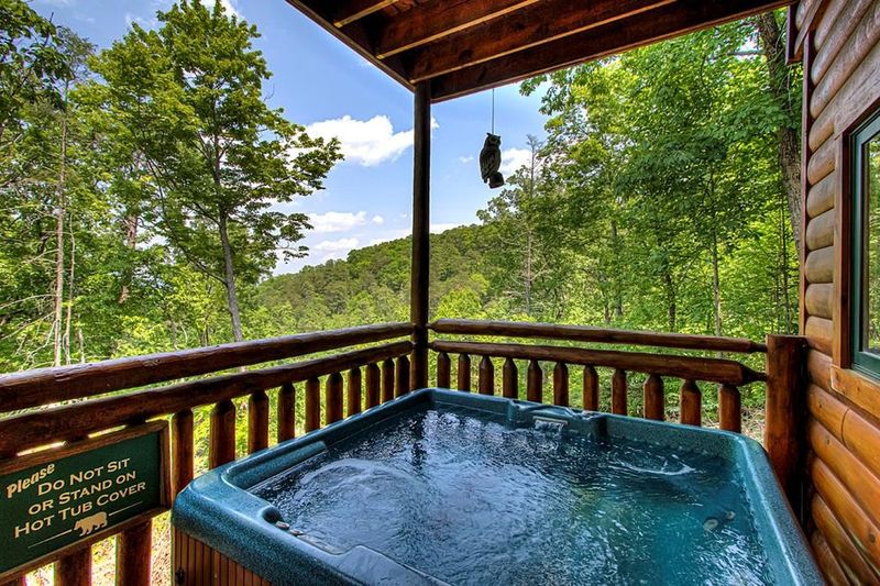 1724 Parkway View Ct #NIGHTMOVES, Sevierville, TN 37876