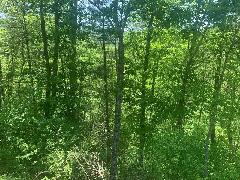 14 Clearview Rd Lot 14, Sevierville, TN 37862