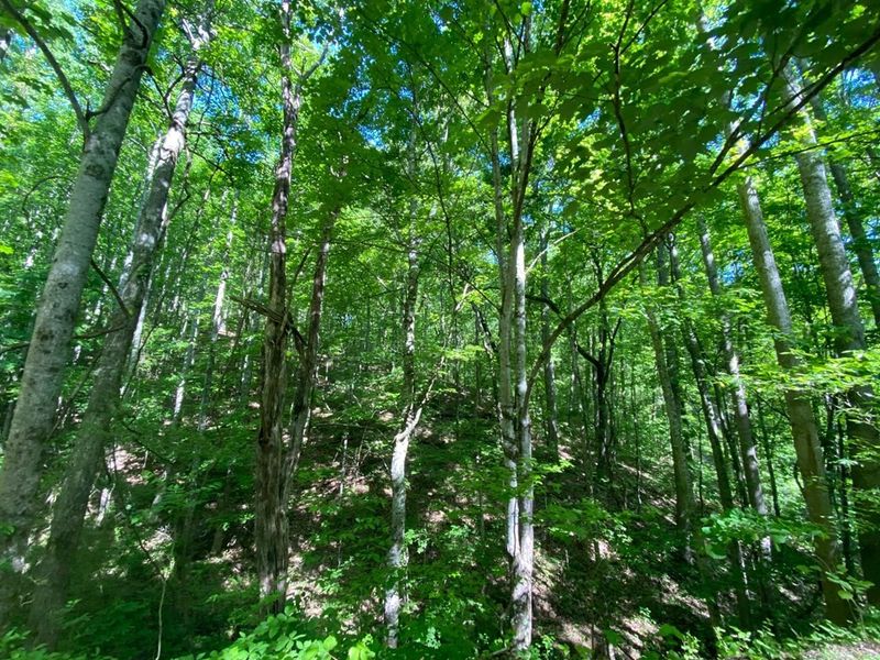 2556 Chester Mountain Rd Lot 10A, Sevierville, TN 37876