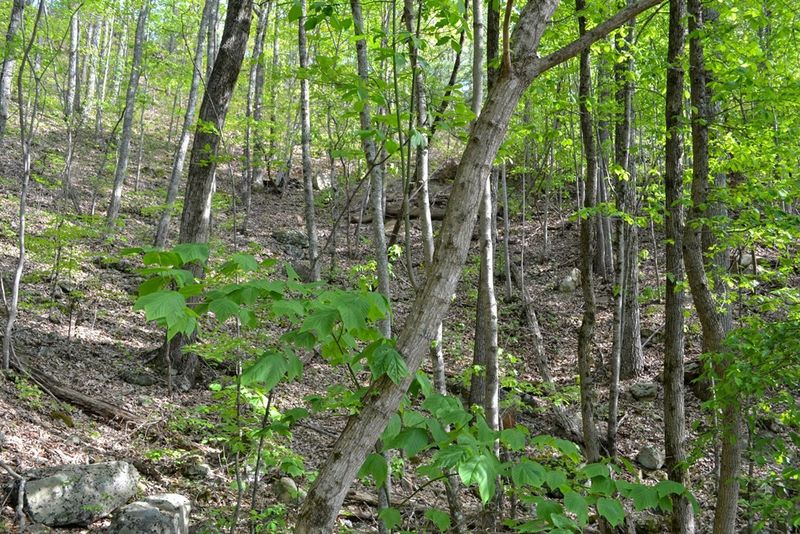 21 Hideaway Way Lot 21, Sevierville, TN 37876
