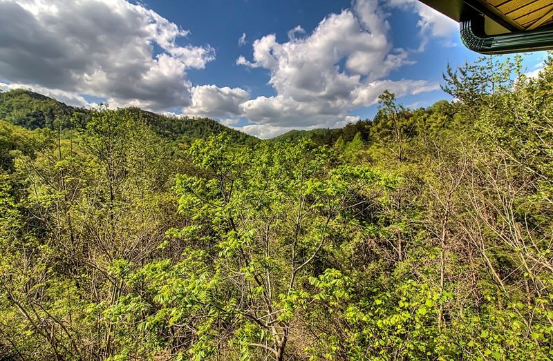1723 Springer Rd, Sevierville, TN 37876