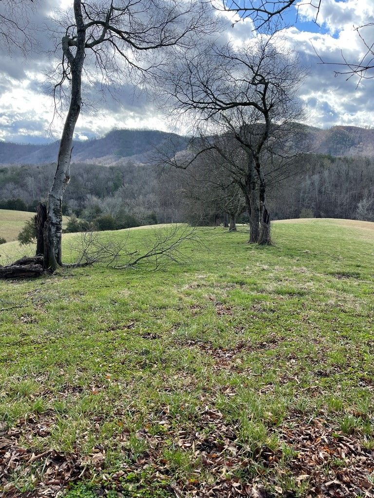 1522 Jayell, Sevierville, TN 37862