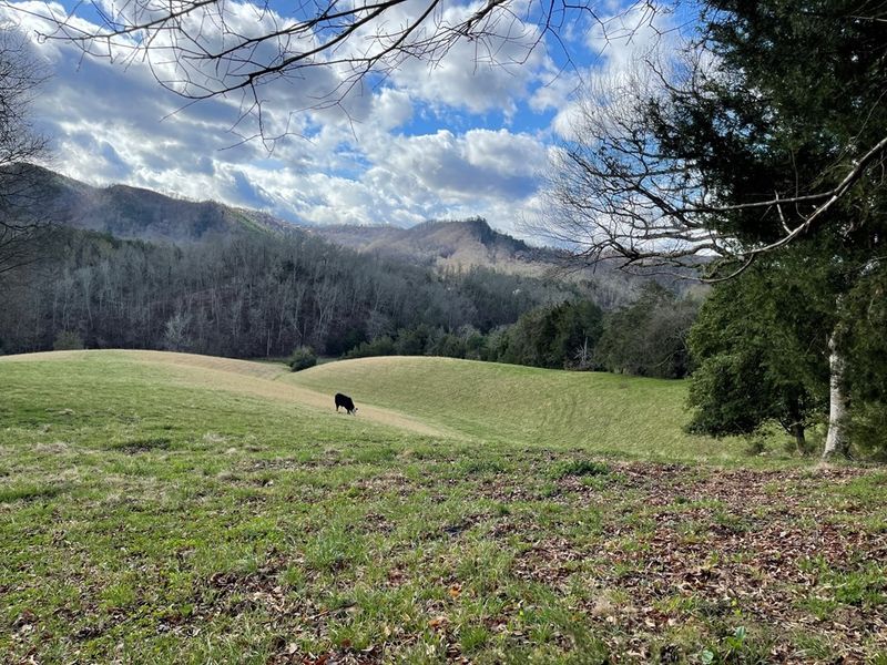 1522 Jayell, Sevierville, TN 37862