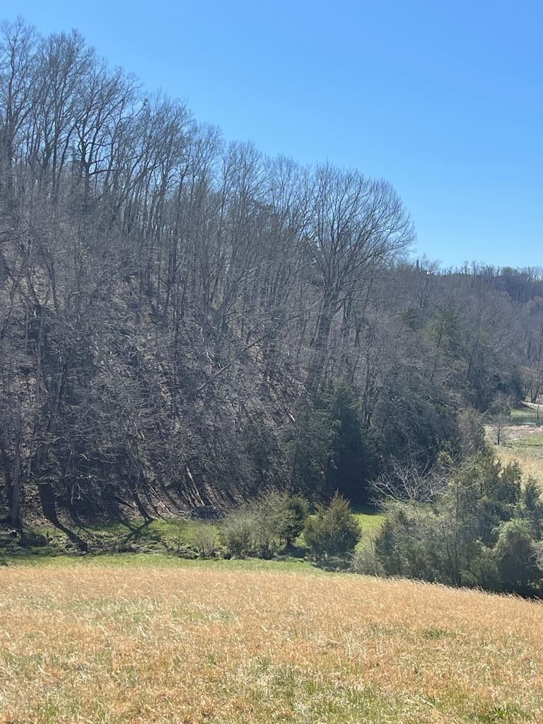 1522 Jayell, Sevierville, TN 37862