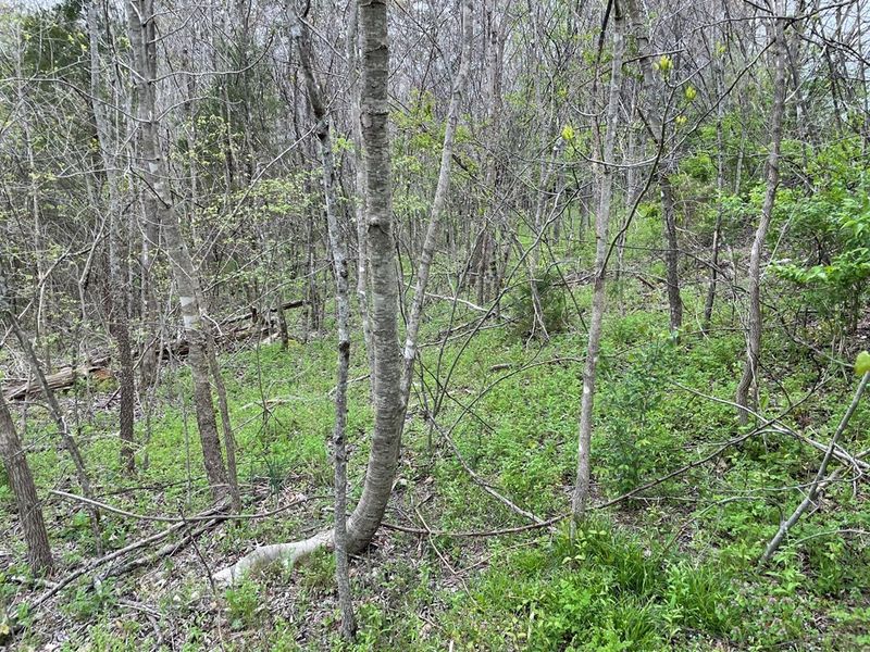 342 Oak Haven Way Lot 127, Sevierville, TN 37876