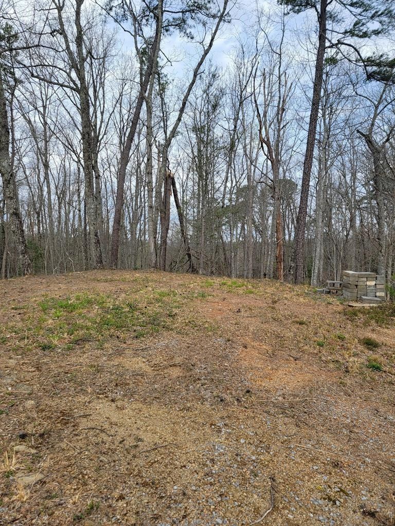 2542 Grassy Branch Rd Lot 1&2, Sevierville, TN 37876