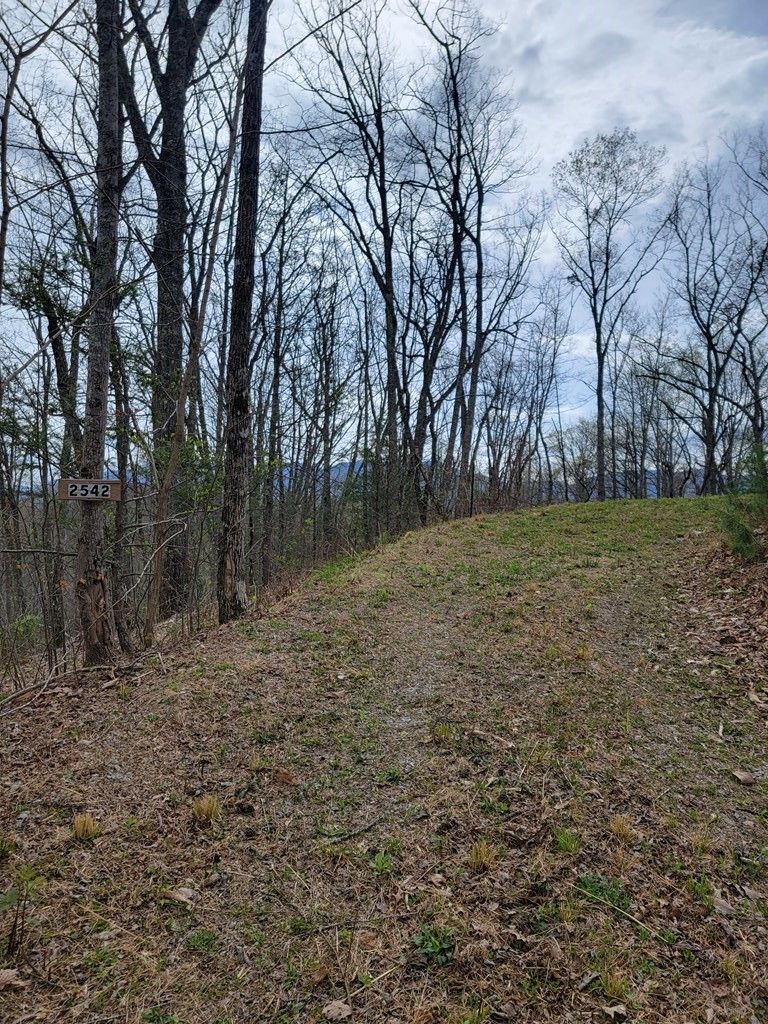 2542 Grassy Branch Rd Lot 1&2, Sevierville, TN 37876