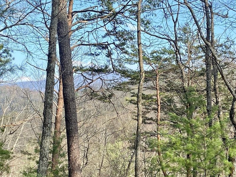 96 Whetstone Lot 96, Sevierville, TN 37862
