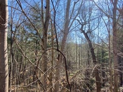 0 Mountain Rest Way Lot 11A, Sevierville, TN 37876