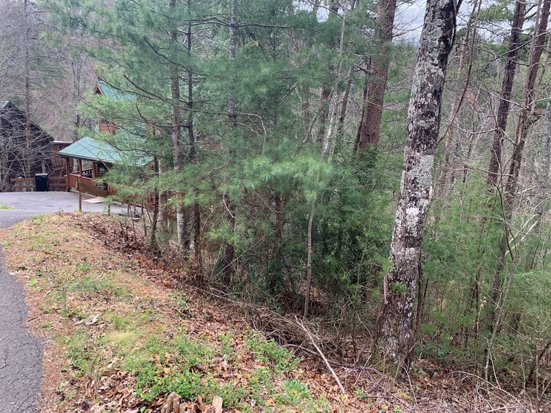 251 Ski View Ln Lot 0251, Sevierville, TN 37863