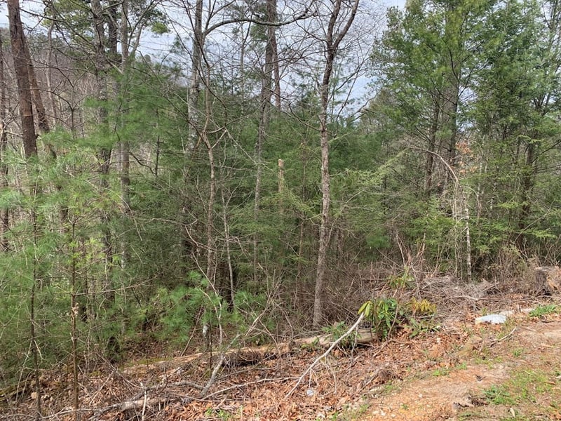 251 Ski View Ln Lot 0251, Sevierville, TN 37863