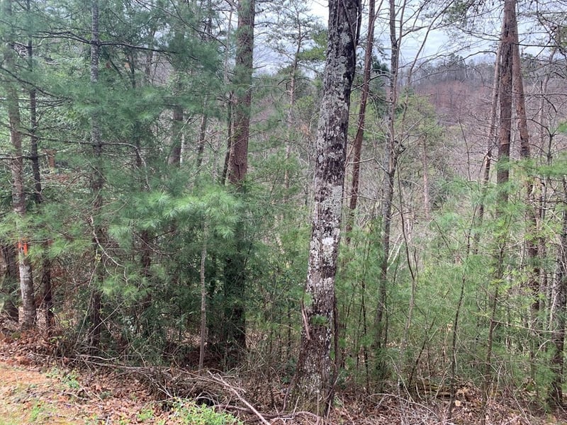 251 Ski View Ln Lot 0251, Sevierville, TN 37863