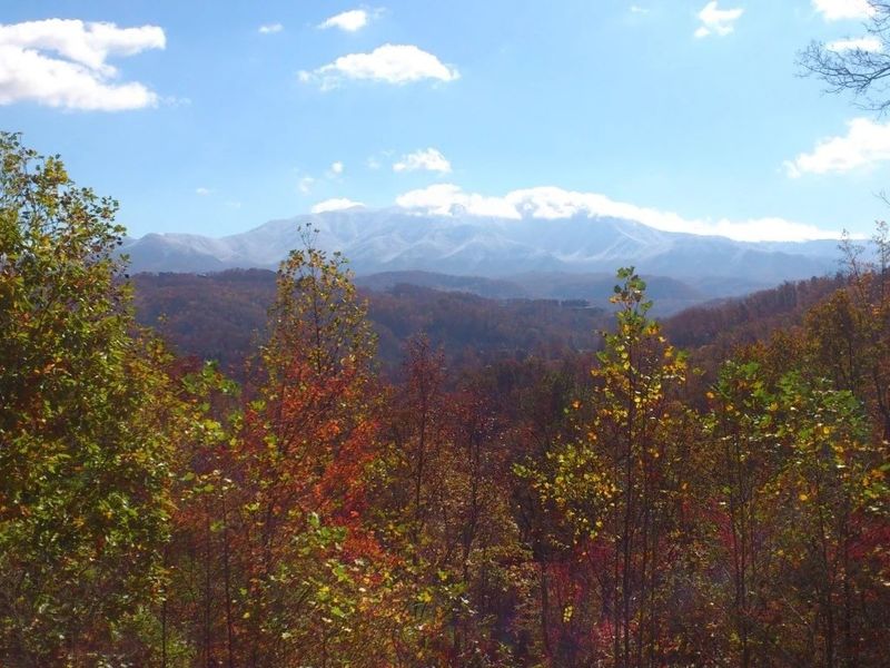 459 Judy Top, Sevierville, TN 37876