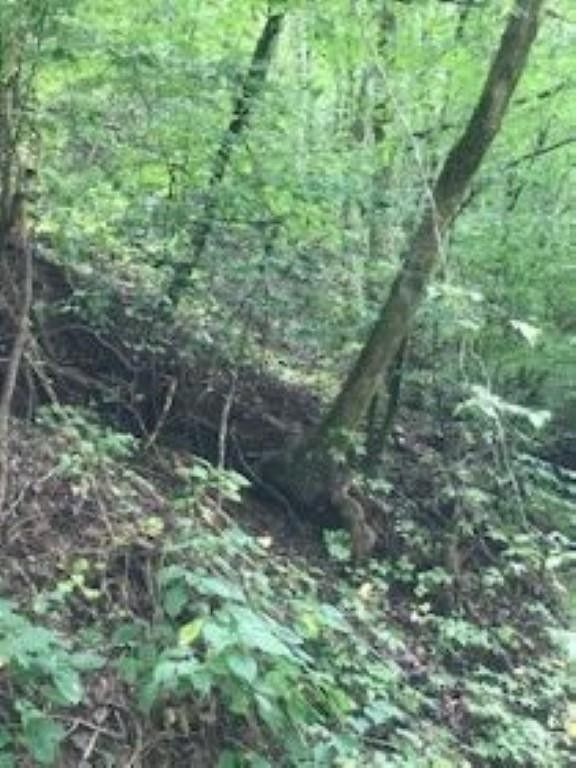 0 Wildcat Ridge Rd Lot 28, Sevierville, TN 37862