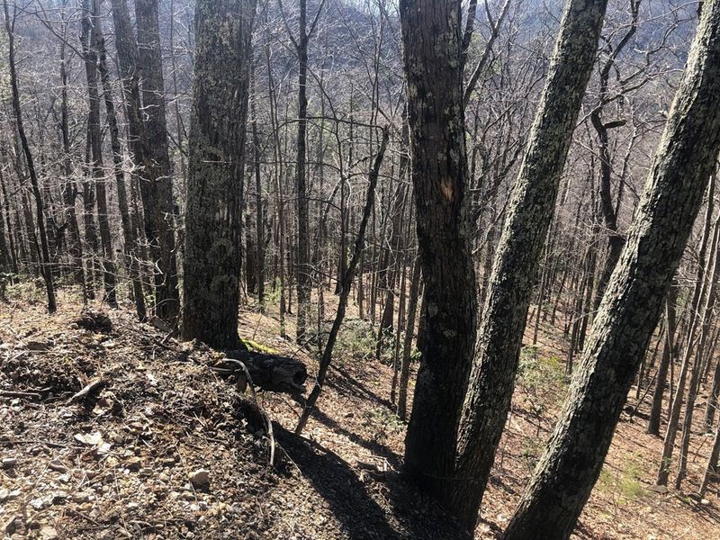 12 John Sevier Lot 12, Sevierville, TN 37876