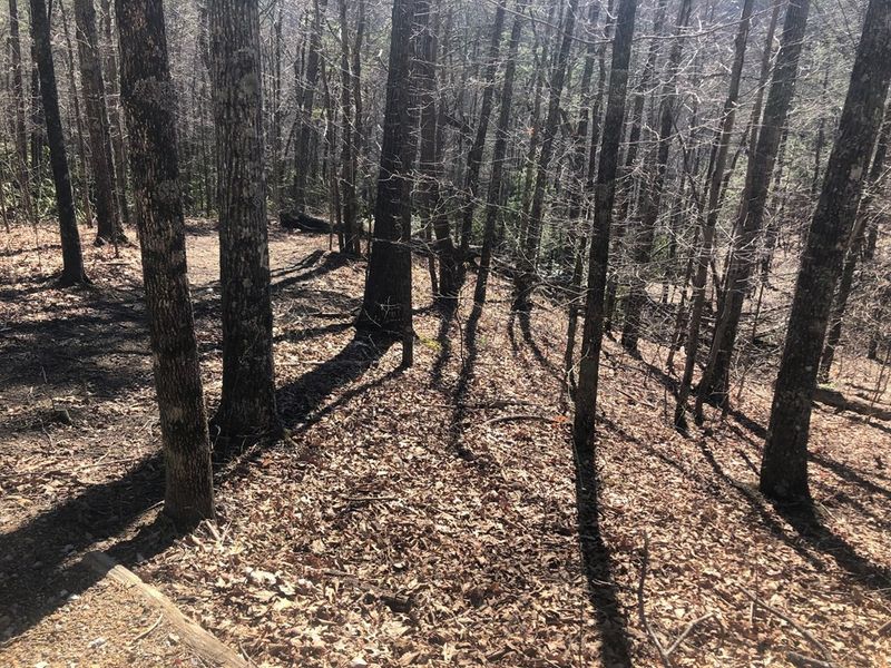 49 Magnolia Ct Lot 49, Sevierville, TN 37876
