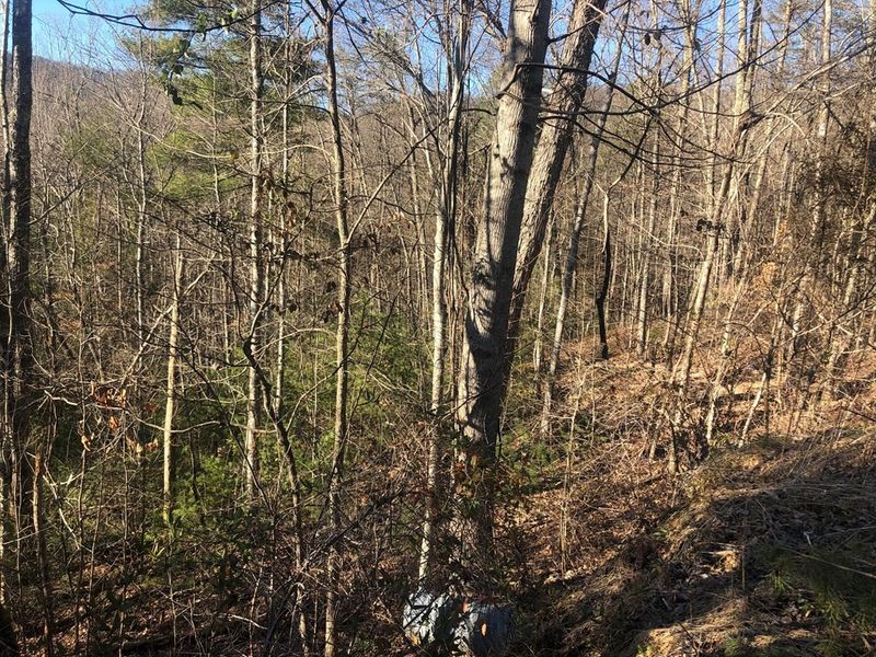 53 Butternut Ln Lot 53, Sevierville, TN 37876