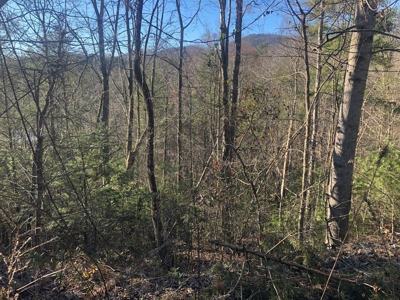53 Butternut Ln Lot 53, Sevierville, TN 37876