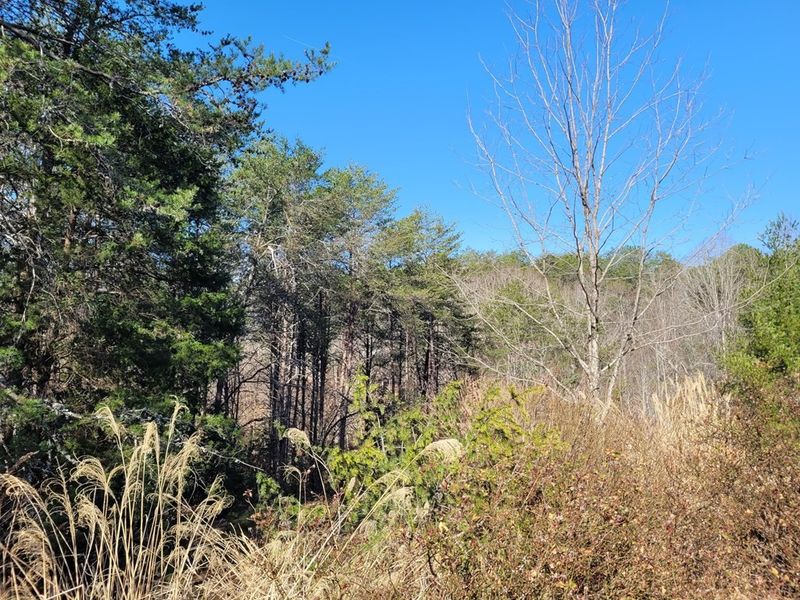 7 Burke Ave Lot 7, Sevierville, TN 37876