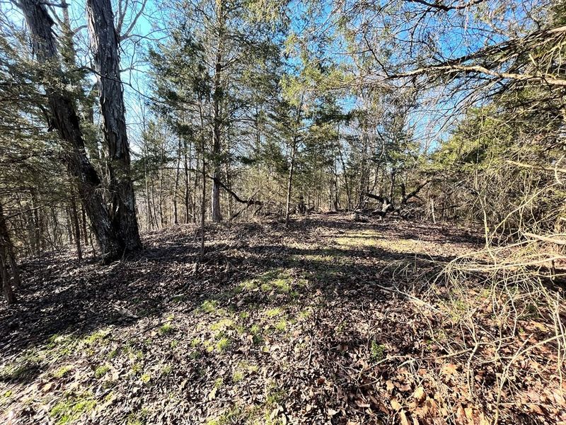 0 Ruth Ln Lot 19, Sevierville, TN 37862