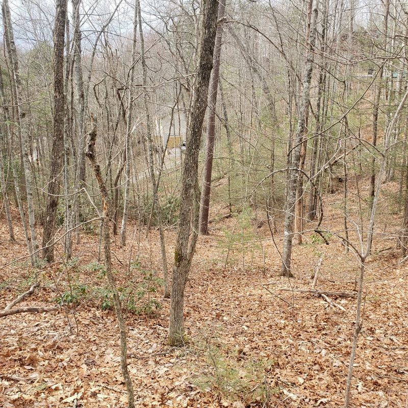 551 Sky View Dr Lot 551, Sevierville, TN 37876