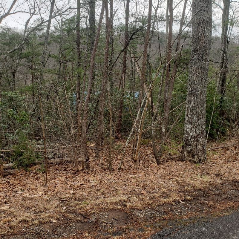 551 Sky View Dr Lot 551, Sevierville, TN 37876