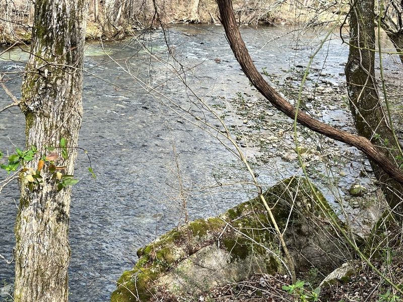 0 Shinbone Rd Lot 11, Sevierville, TN 37876