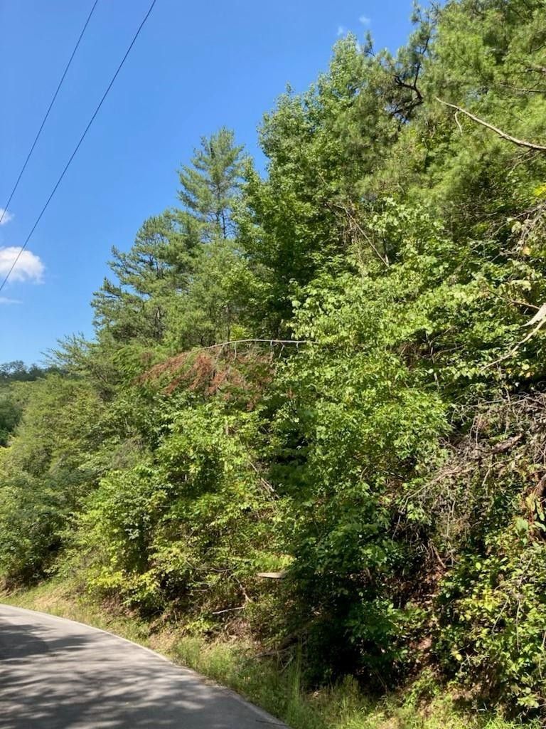 0 Dove View Rd Lot SECTION, Sevierville, TN 37876