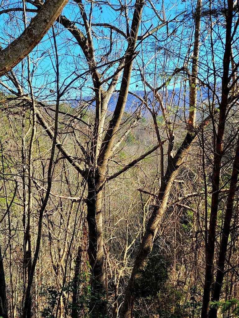9 Mountain Dreams Way Lot 9, Sevierville, TN 37862