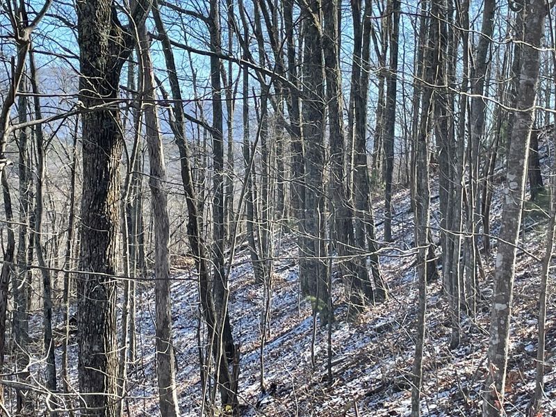 11 Whetstone Rd Lot 11, Sevierville, TN 37862
