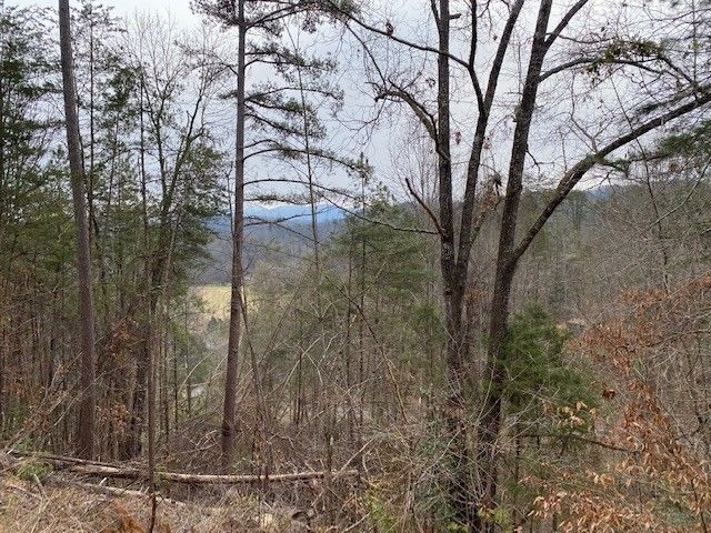 2 S B Ogle Ln Lot 2-B, Sevierville, TN 37876