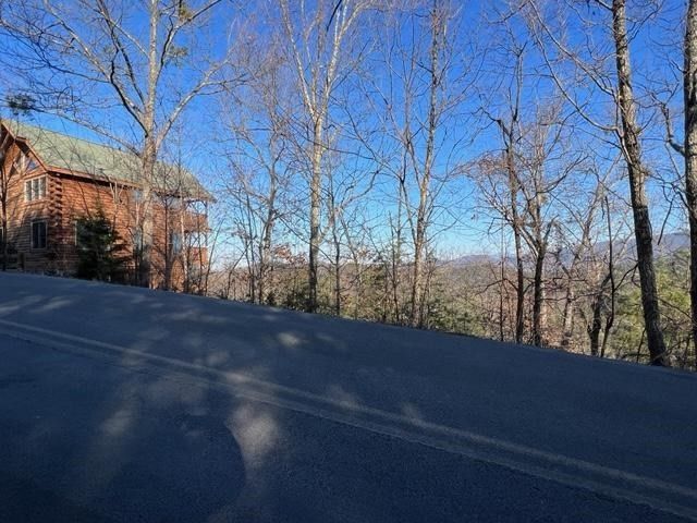 0 Chamberlain Ln Lot 55E, Sevierville, TN 37862