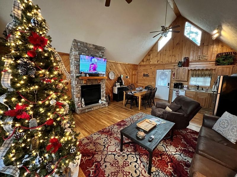 1663 Raccoon Den Way #CABINFEVER, Sevierville, TN 37862