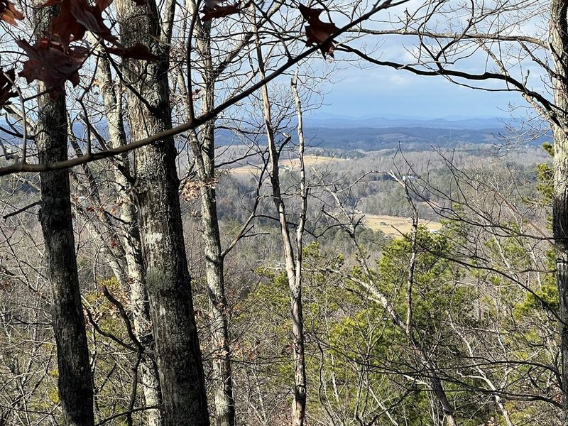 0 Bear Mountain Ln, Sevierville, TN 37876