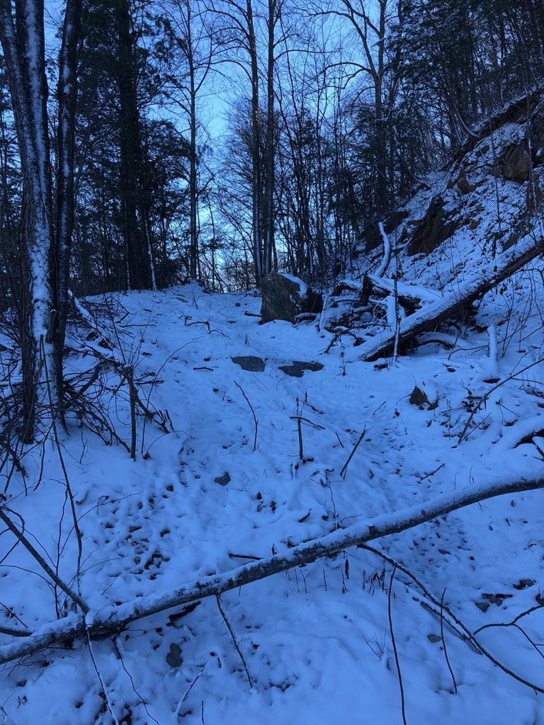 0 Wild Azalea Ln Lot 21, Sevierville, TN 37862