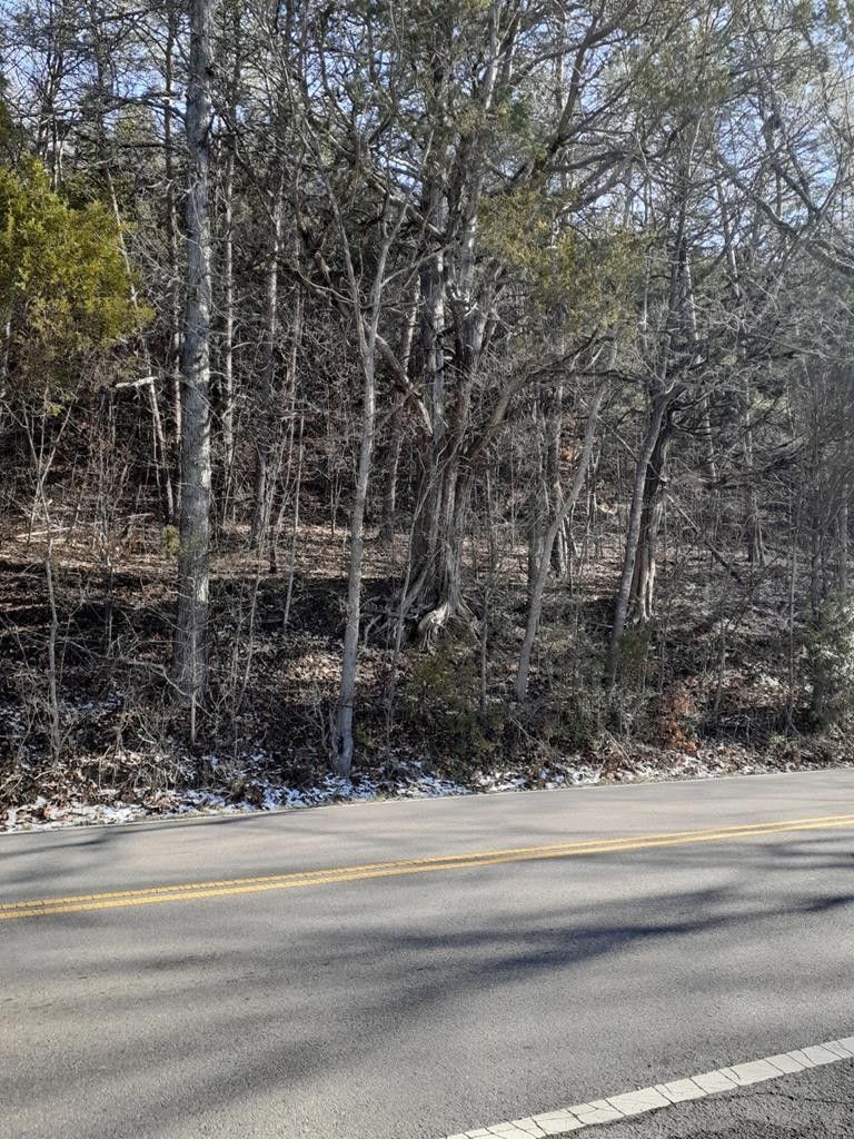 0 Ridge Rd Lot 0021, Sevierville, TN 37862