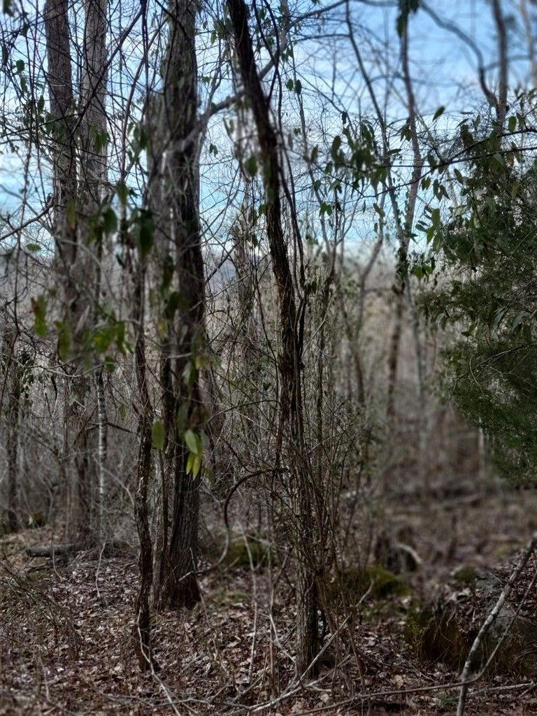 25 Spring View Dr Lot 25, Sevierville, TN 37862