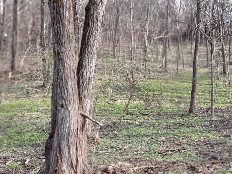 20 Spring View Dr Lot 20-R, Sevierville, TN 37862