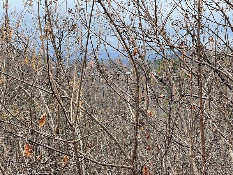 2109 Bluff View Way Lot 132, Sevierville, TN 37876