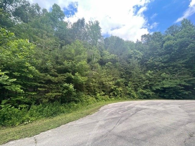 2829 Bird Hill Rd Lot 29, Sevierville, TN 37876