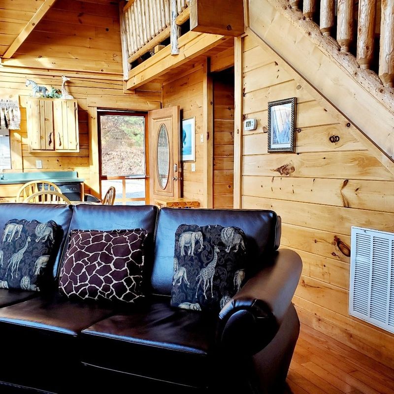 2472 School House Gap Rd #JUNGLEBOOGIE, Sevierville, TN 37876
