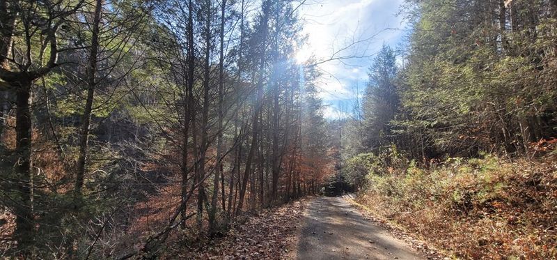 1420 Old Hag Hollow Way, Sevierville, TN 37876