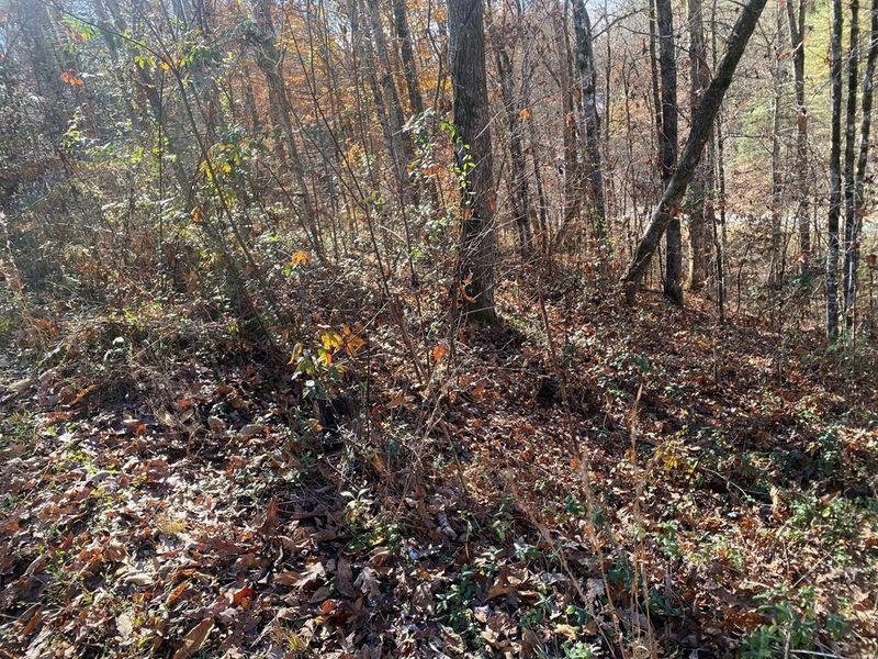 13 Gregory Way Lot 13, Sevierville, TN 37876