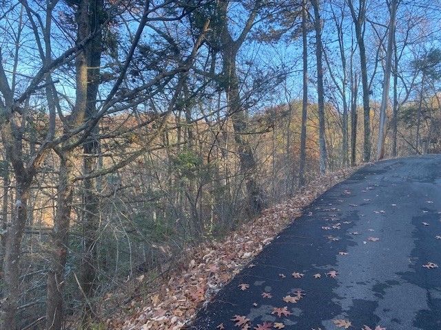 1076 Beach Front Dr Lot 1076, Sevierville, TN 37876