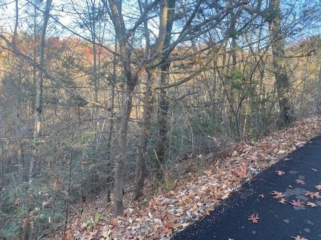 1076 Beach Front Dr Lot 1076, Sevierville, TN 37876