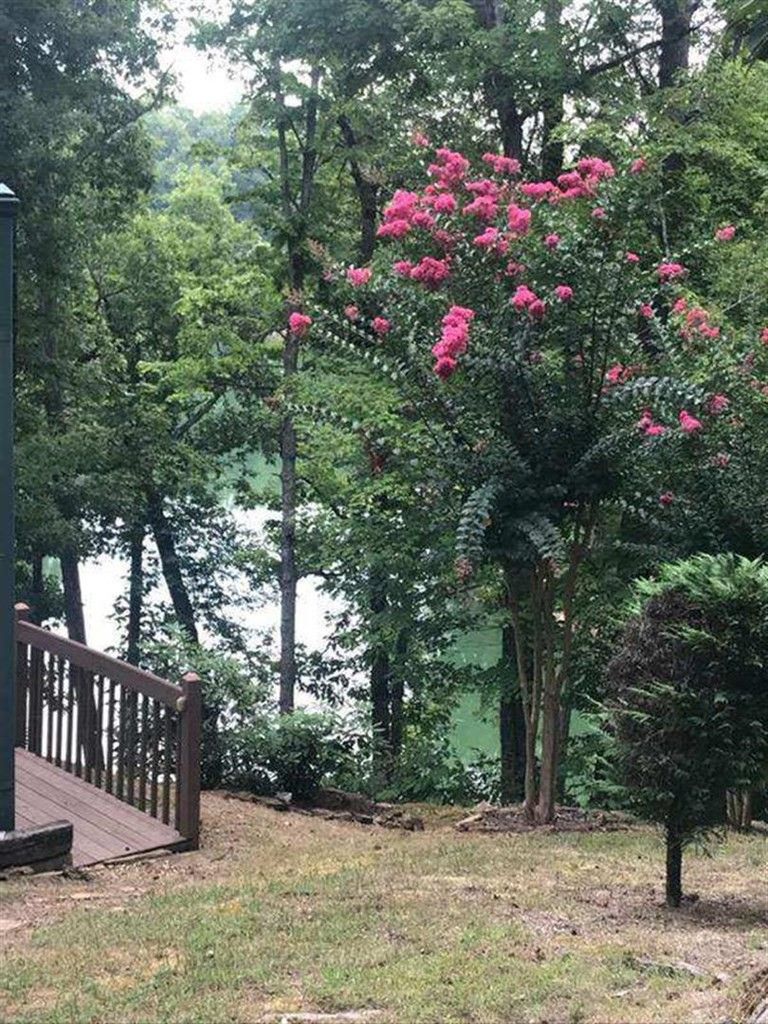6 Aaron St Lot 6, Sevierville, TN 37876