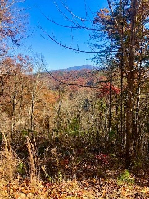 13 Whetstone Rd Lot 13, Sevierville, TN 37862