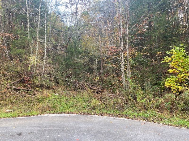 0 Maples Branch Rd Lot 14&13, Sevierville, TN 37876