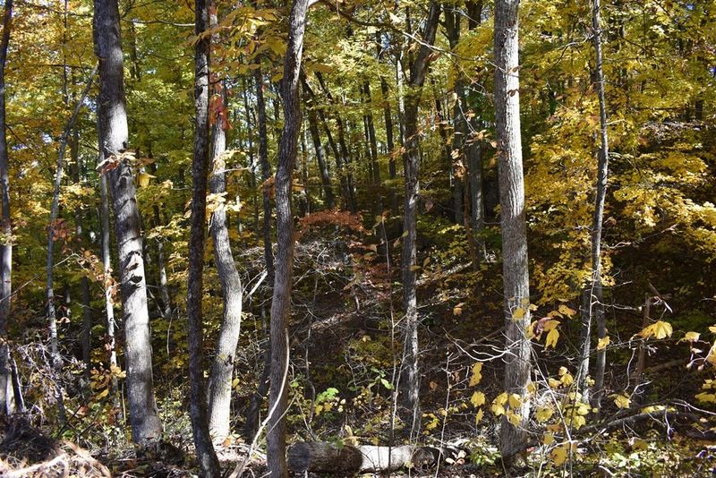 0 Ash Ps Lot 811, Sevierville, TN 37876